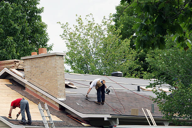 Best Roof Ventilation Installation  in Lake Mary Jane, FL