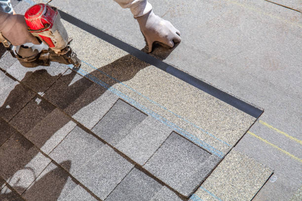 Best Roof Insulation Installation  in Lake Mary Jane, FL